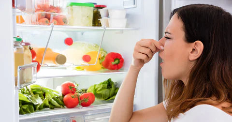 Aparat za zavarivanje i vakuumiranje kesa + 20 kesa