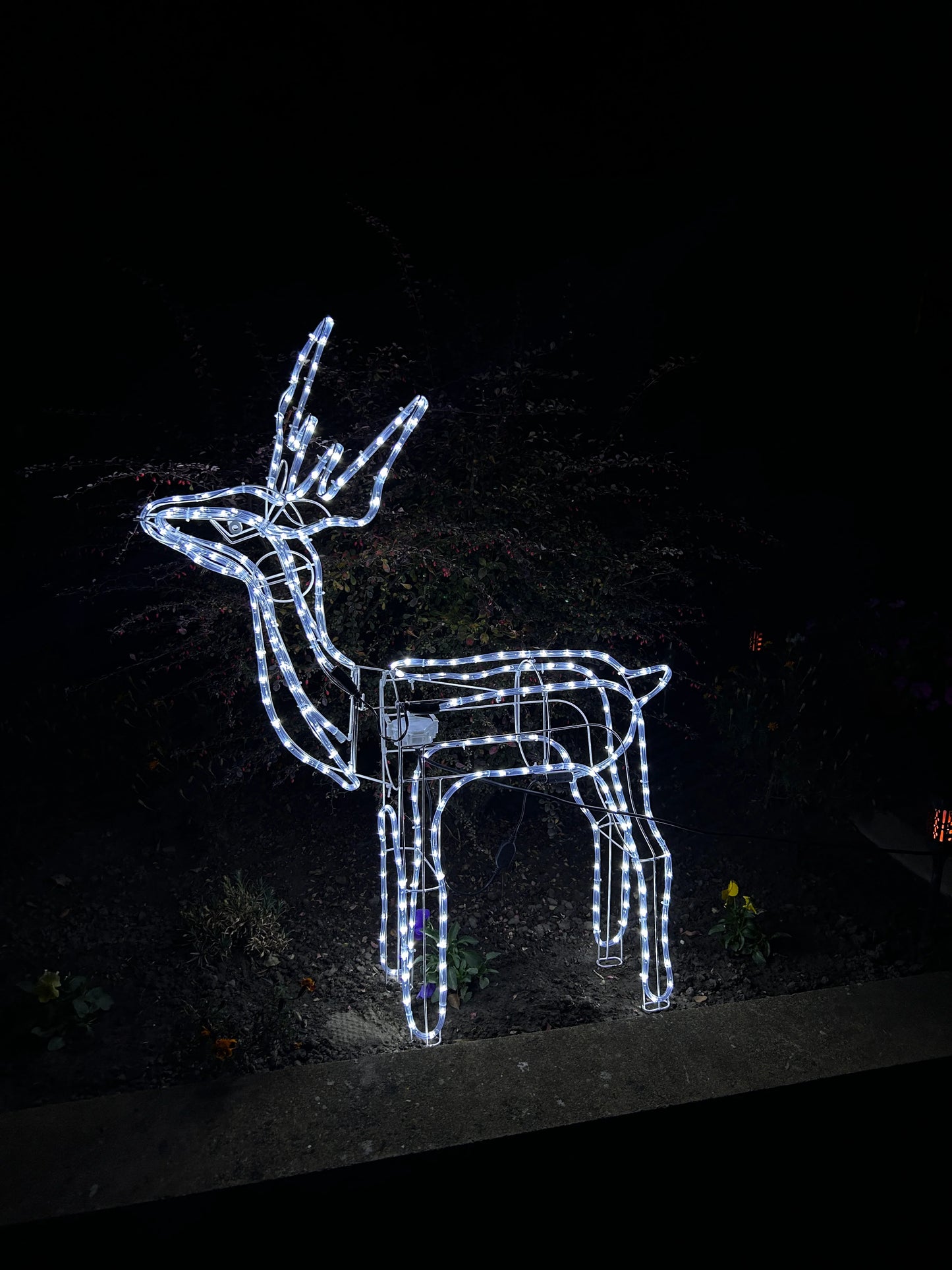 Novogodišnji irvasi