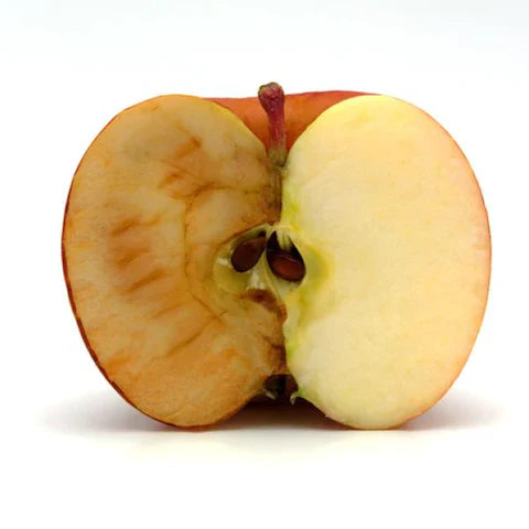 Aparat za zavarivanje i vakuumiranje kesa + 20 kesa